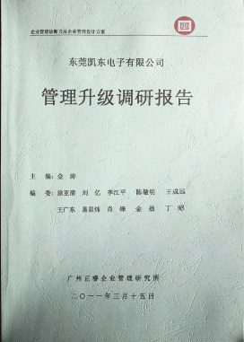 2011年3月15日，正睿咨詢專家向凱東決策層陳述調(diào)研報告