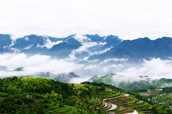 管理咨詢?nèi)绾沃刂萜髽I(yè)戰(zhàn)略規(guī)劃落地？