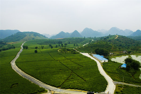 清遠(yuǎn)營(yíng)銷(xiāo)咨詢(xún)公司深挖需求，如何為品牌打造直擊消費(fèi)痛點(diǎn)的賣(mài)點(diǎn)？